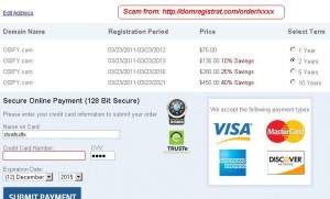 Sample Domain Scam Invoice